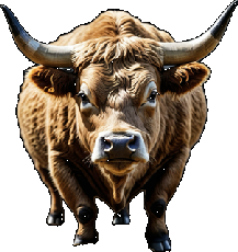 Bullish